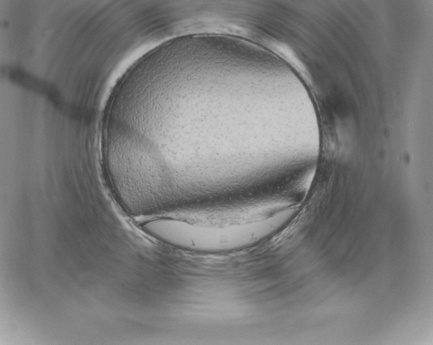 X0000060561144200511241244
