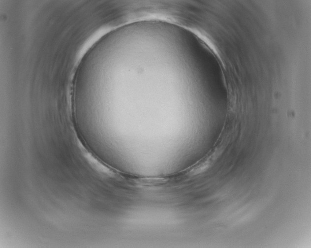 X0000060561151200511241244