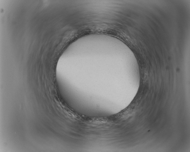 X0000060561153200511241243