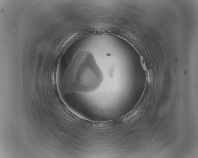 X0000060561155200511241243