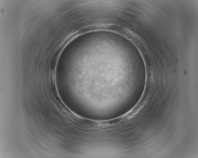 X0000060561161200511241243