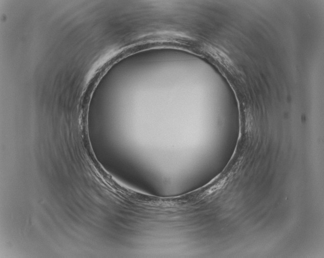 X0000060561164200511241243