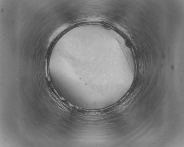 X0000060561171200511241243