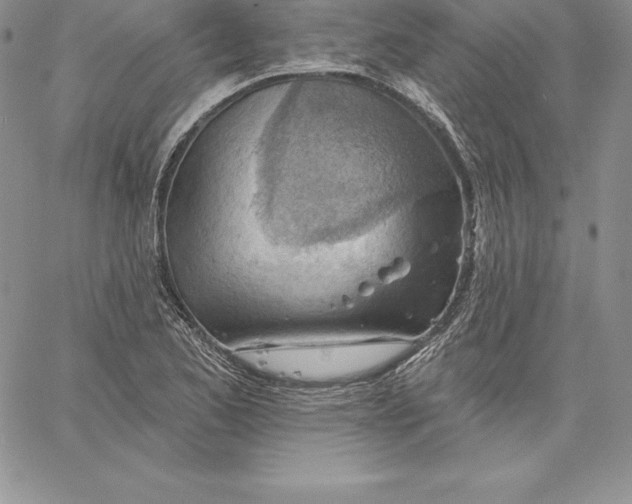 X0000060561173200511241243