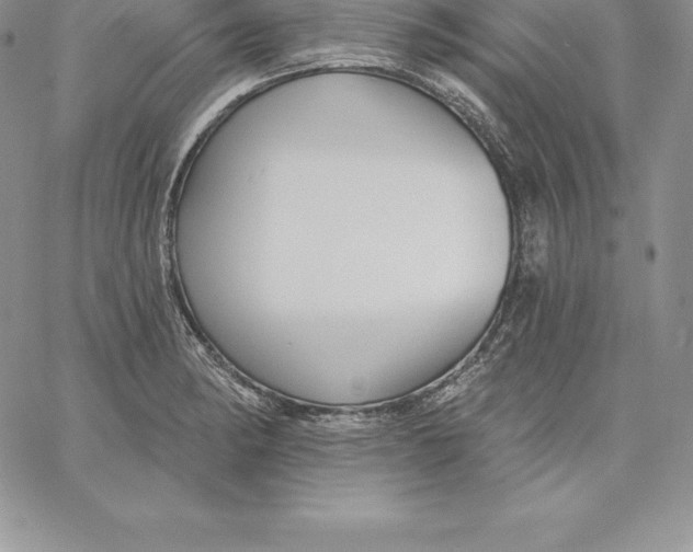 X0000060561182200511241243