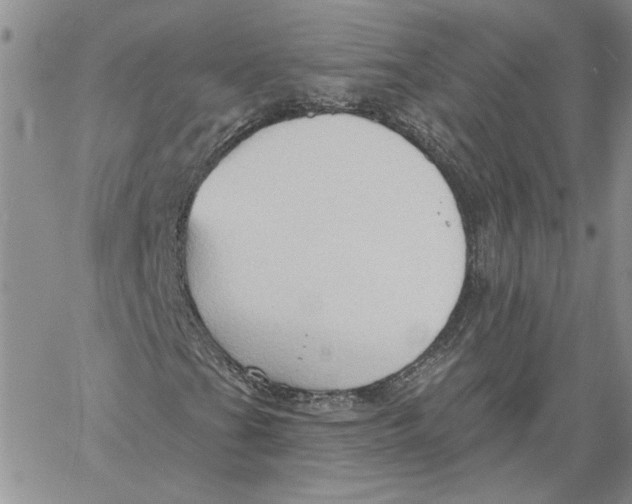 X0000060561201200511241242