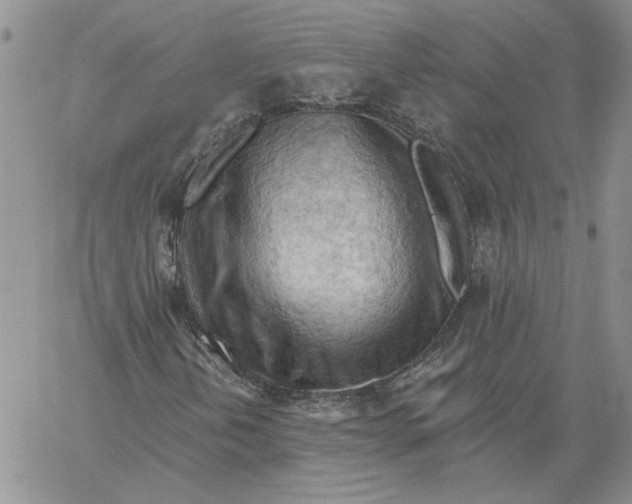 X0000060561202200511241242