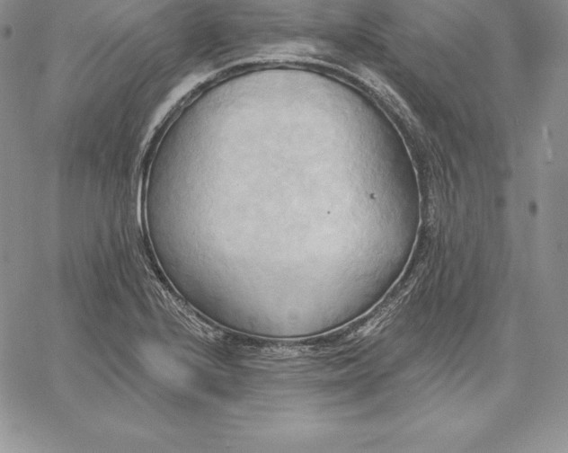 X0000060561224200511241242