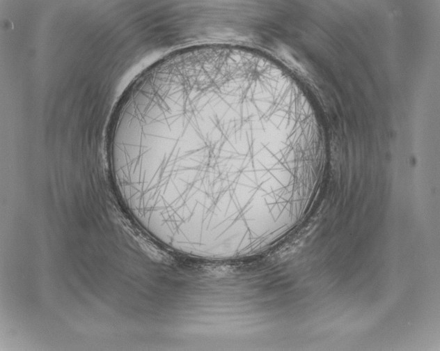 X0000060561230200511241242
