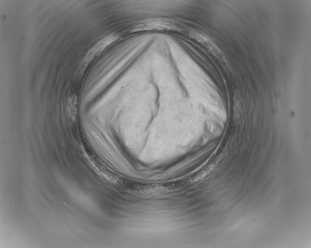 X0000060561233200511241242
