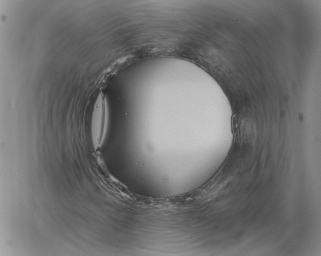 X0000060561250200511241242