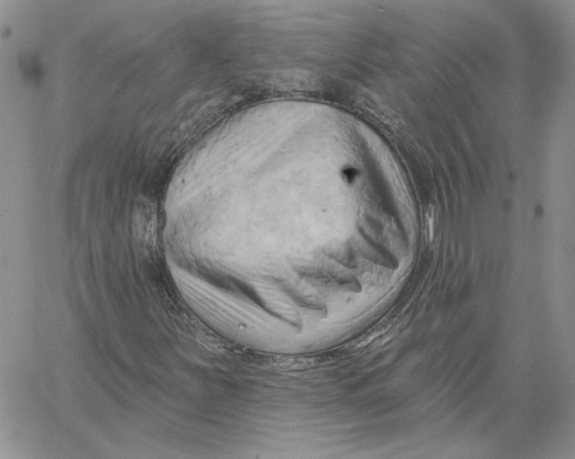 X0000060561251200511241242