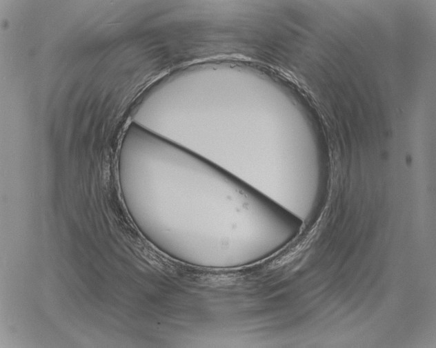 X0000060561257200511241242