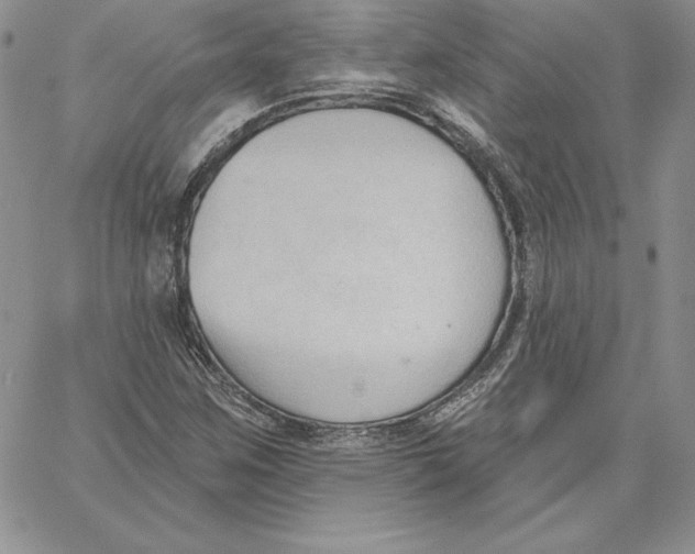 X0000060561259200511241242