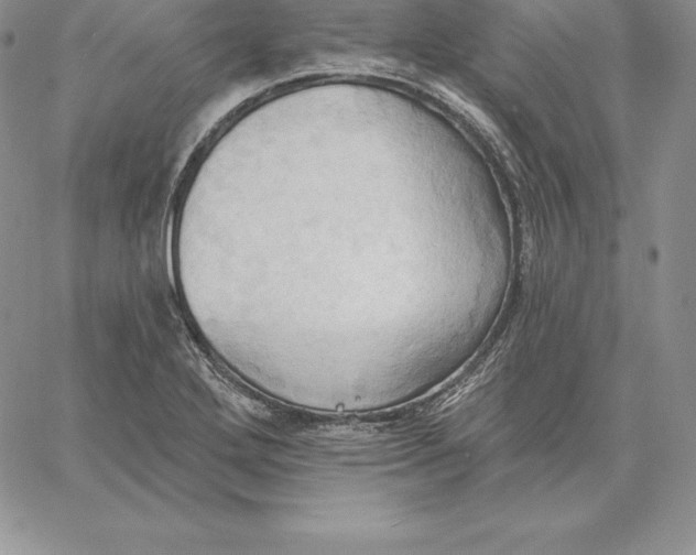 X0000060561272200511241241