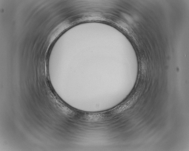 X0000060561274200511241241