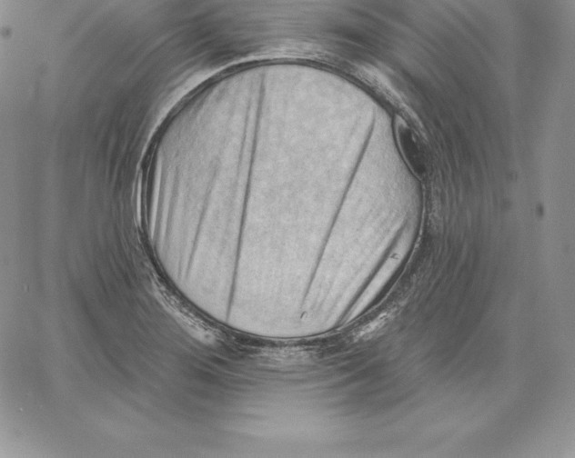X0000060561276200511241241
