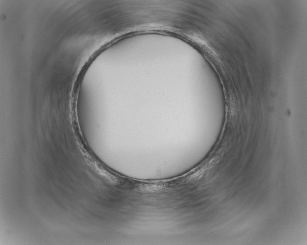 X0000060561278200511241241