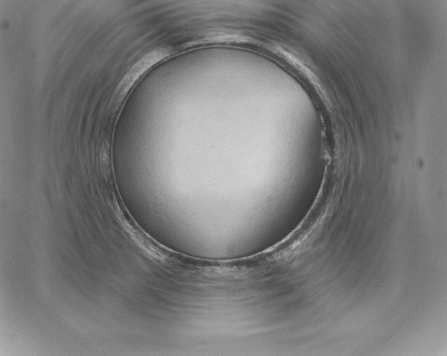X0000060561281200511241241