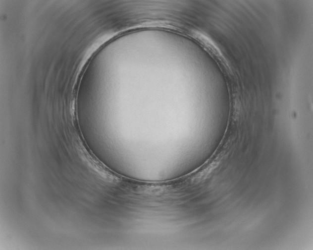 X0000060561284200511241241