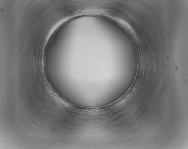 X0000060561288200511241241