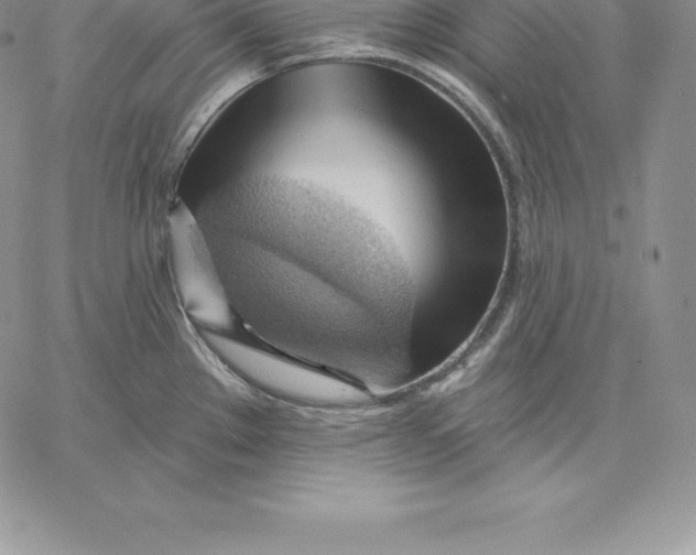 X0000060561289200511241241