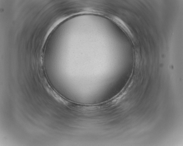 X0000060561292200511241241