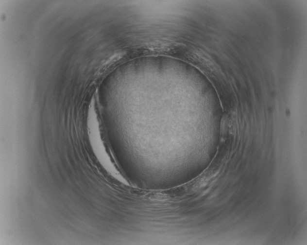 X0000060561298200511241240