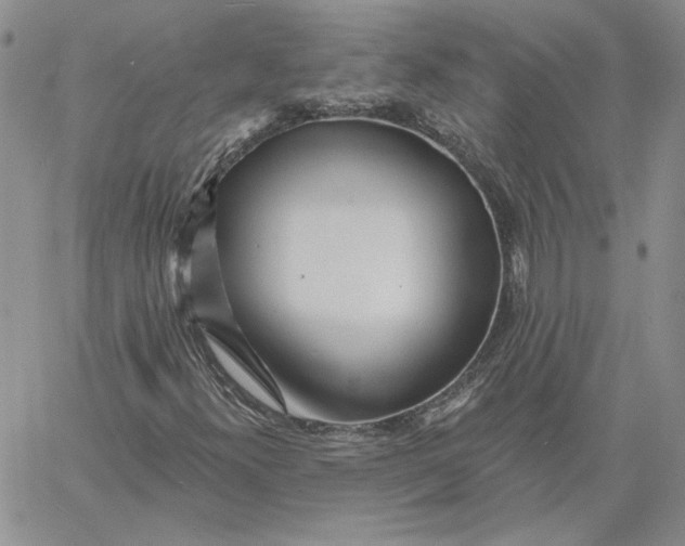 X0000060561300200511241240