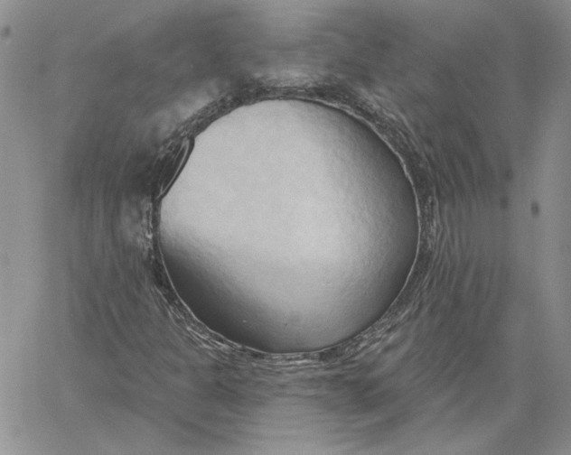 X0000060561301200511241240