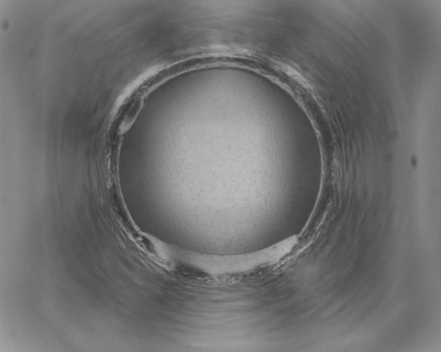 X0000060561310200511241241