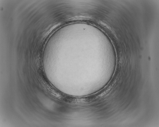 X0000060561313200511241241