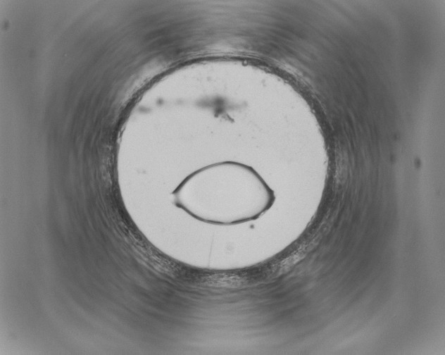 X0000060561314200511241241
