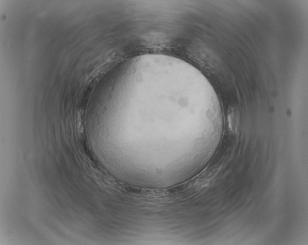 X0000060561347200511241240