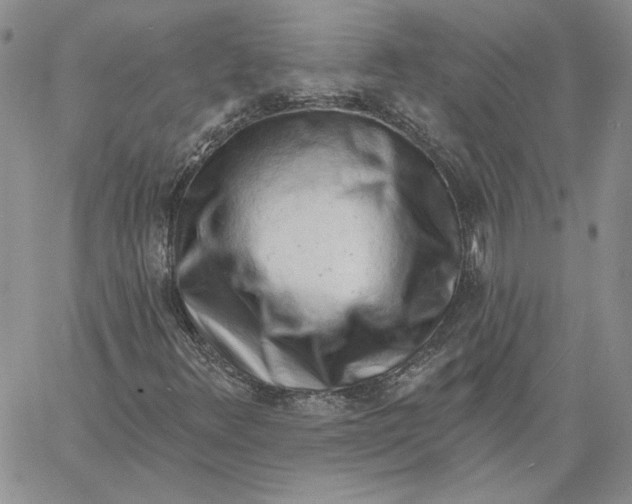 X0000060561348200511241240