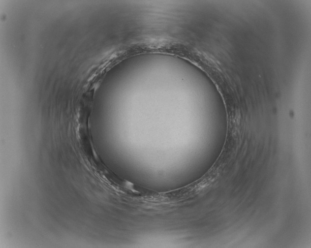 X0000060561349200511241240