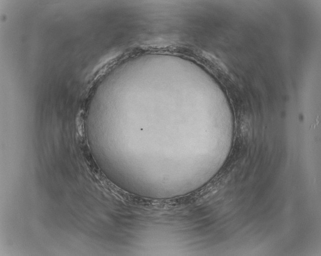 X0000060561350200511241240