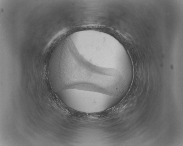 X0000060561351200511241240