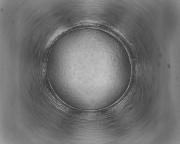X0000060561355200511241240