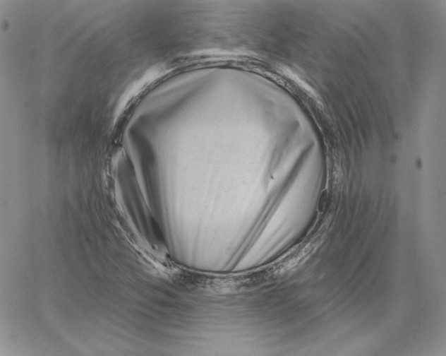 X0000060561357200511241240