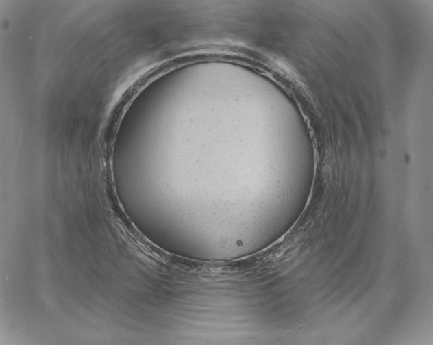 X0000060561360200511241240