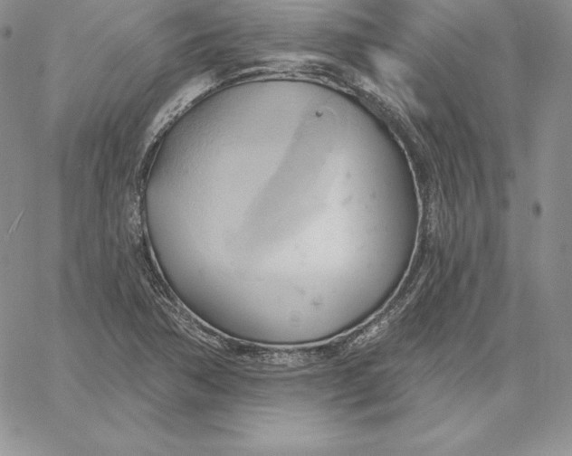 X0000060561362200511241240