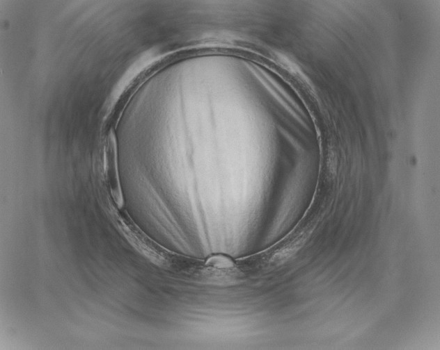 X0000060561368200511241240