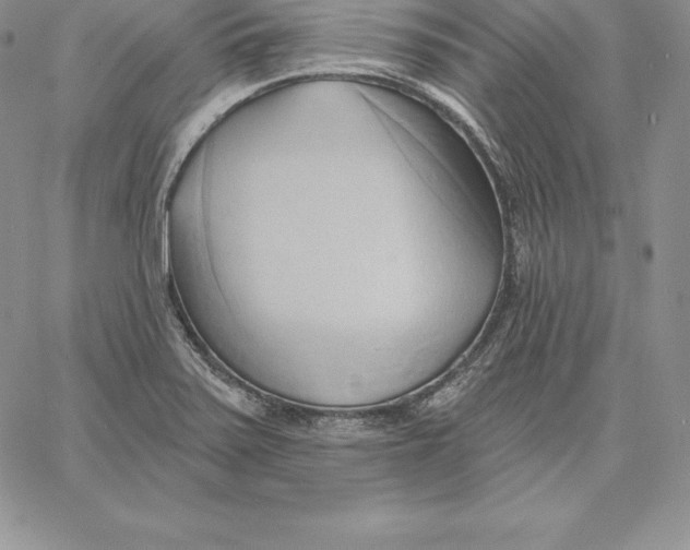 X0000060561371200511241240