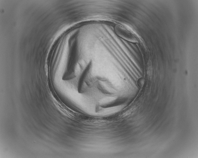 X0000060561372200511241240