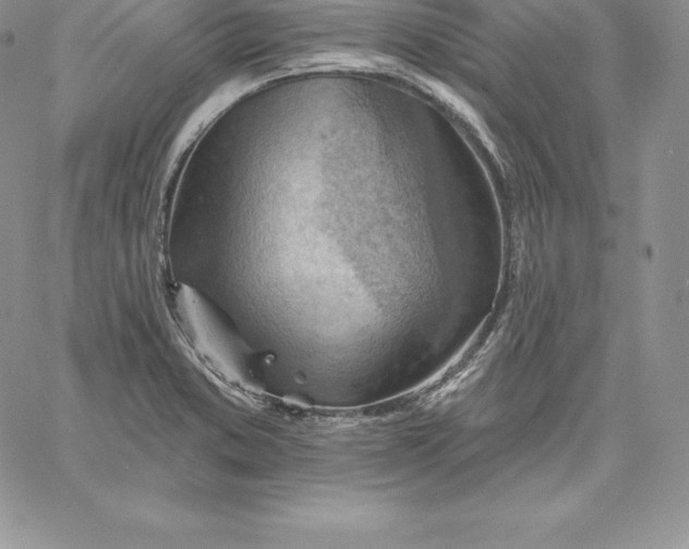 X0000060561373200511241240