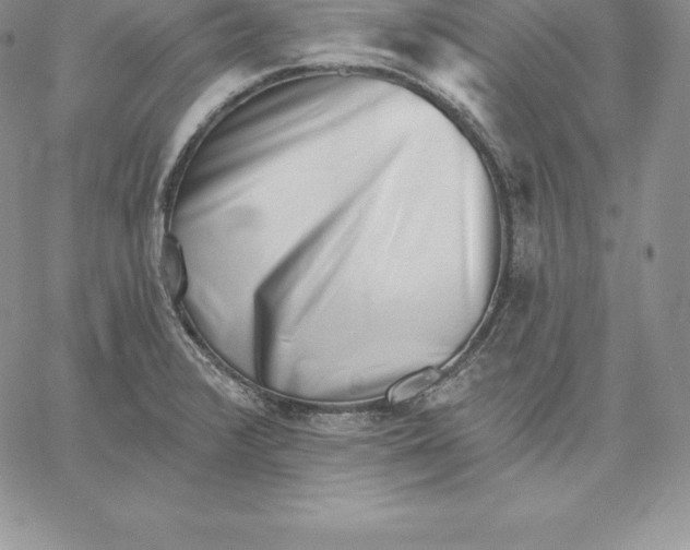X0000060561376200511241240