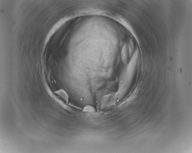 X0000060561389200511241240