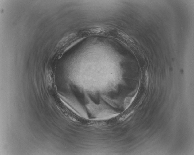 X0000060561394200511241239
