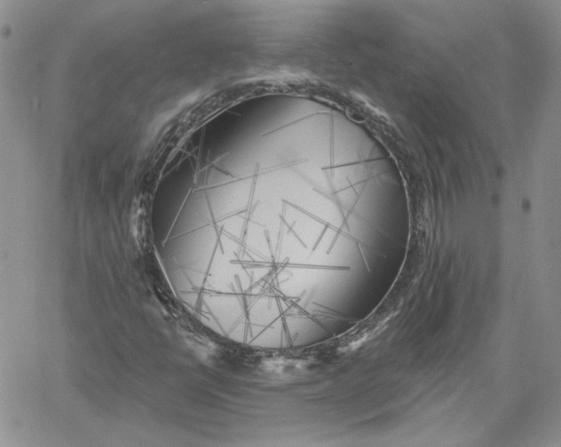 X0000060561398200511241239